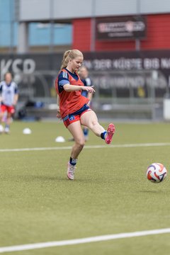 Bild 168 - wBJ Hamburger SV - FC Suederelbe : Ergebnis: 9:0
